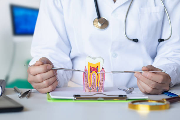 Best Emergency X-Rays and Diagnostics in Baltimore, OH